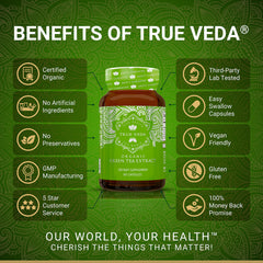 Back view of Organic Green Tea Extract Capsules bottle