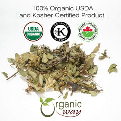 Herbal tea setup with Hawthorn leaves and natural background