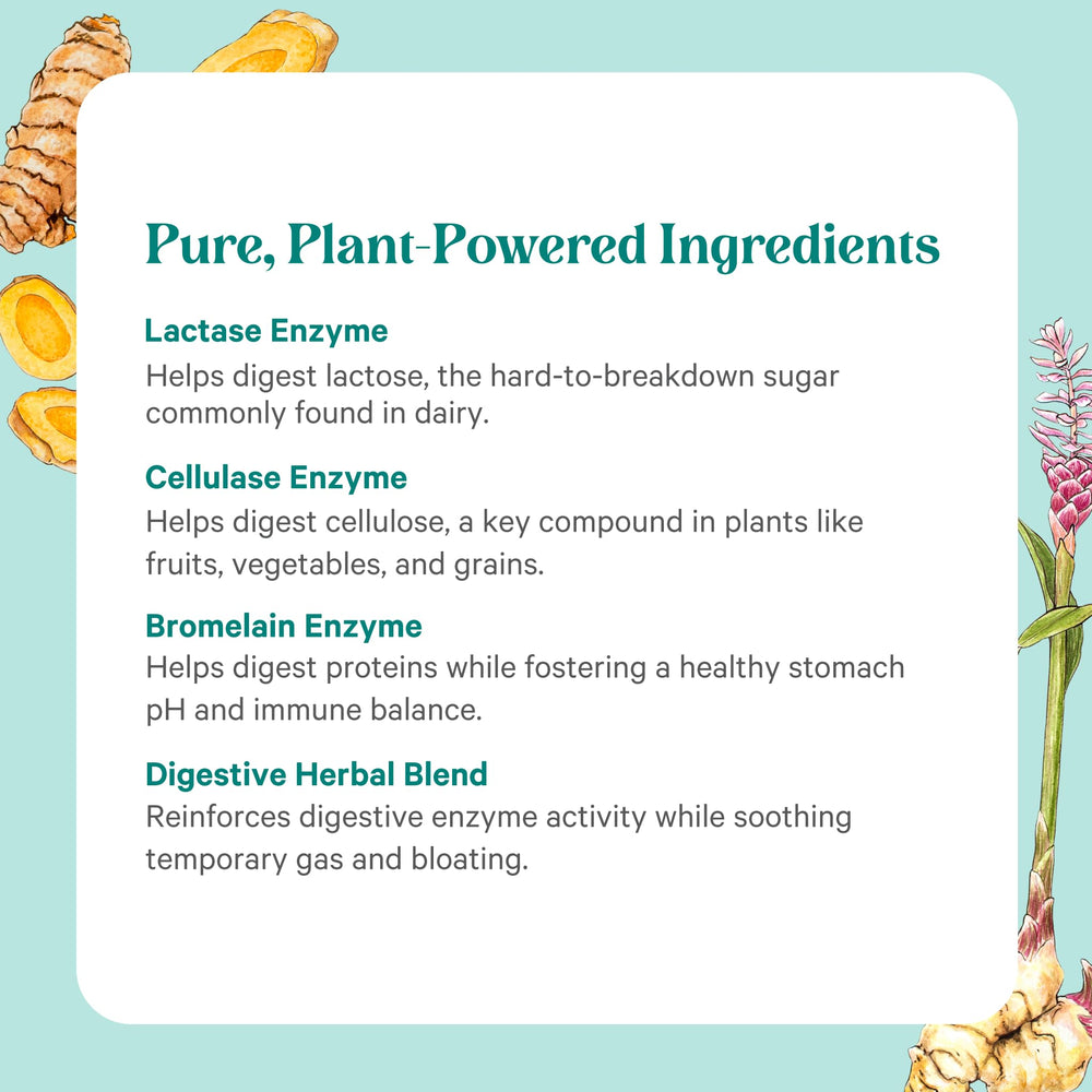 Organic herbs and spices for digestive health