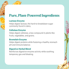 Organic herbs and spices for digestive health