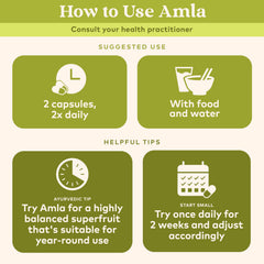 Ayurvedic packaging for Organic India Amla supplement