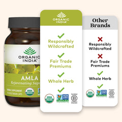 Vegan gluten-free non-GMO Amla capsules lifestyle concept