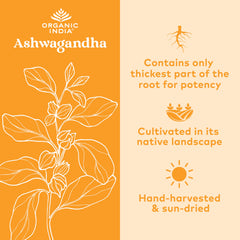 Ashwagandha capsules illustrating stress relief benefits