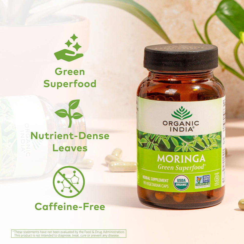 Close-up of Moringa oleifera leaves highlighting green superfood source