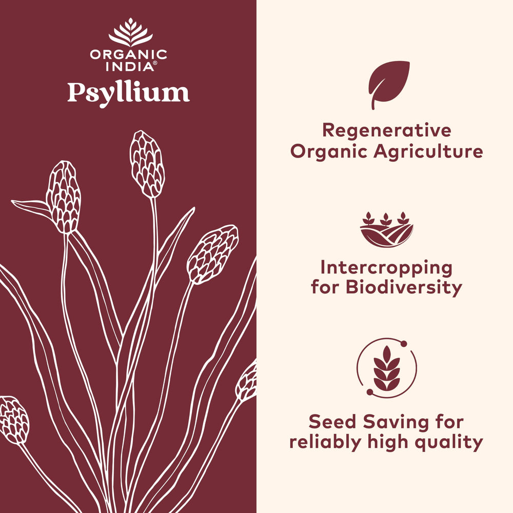 Psyllium husk capsules inside the bottle