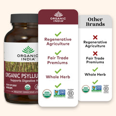 Psyllium husk capsules with herbs illustration.