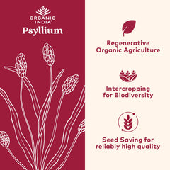 Close-up of psyllium husk powder texture