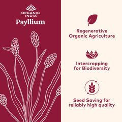 Organic India Psyllium powder fine grain scoop demonstrates quick blending.