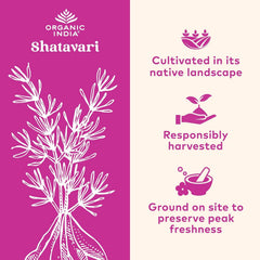 Shatavari plant-themed imagery accompanying the supplement