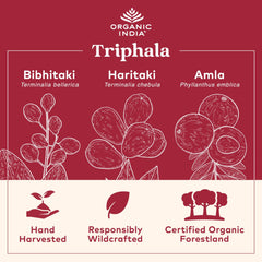 Vegan and USDA Organic Triphala capsules