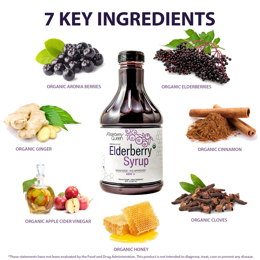 Illustration of Sambucus elderberry and aronia berry ingredients