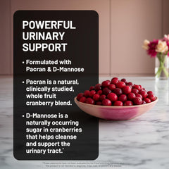 Organic inulin prebiotic fiber for gut health