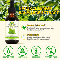 Liquid lemon balm extract tincture bottle