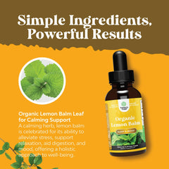 Illustration of organic lemon balm essential oil drops