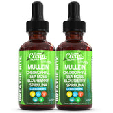 Bottle of Organic Mullein Drops with Chlorophyll and Sea Moss