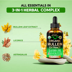 Organic mullein leaf extract ingredients label