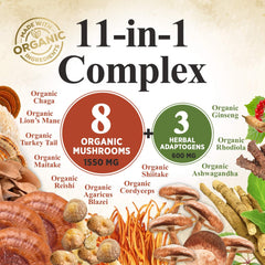 Organic mushroom fruiting body extracts used in the powder