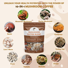 Mushrooms including Cordyceps, Lion's Mane, Reishi, Shiitake, Turkey Tail on a wooden surface