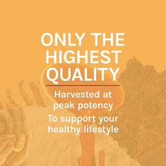 Organic certification and non-GMO, gluten-free labels