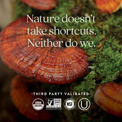 USDA Organic and Non-GMO Project Verified logos