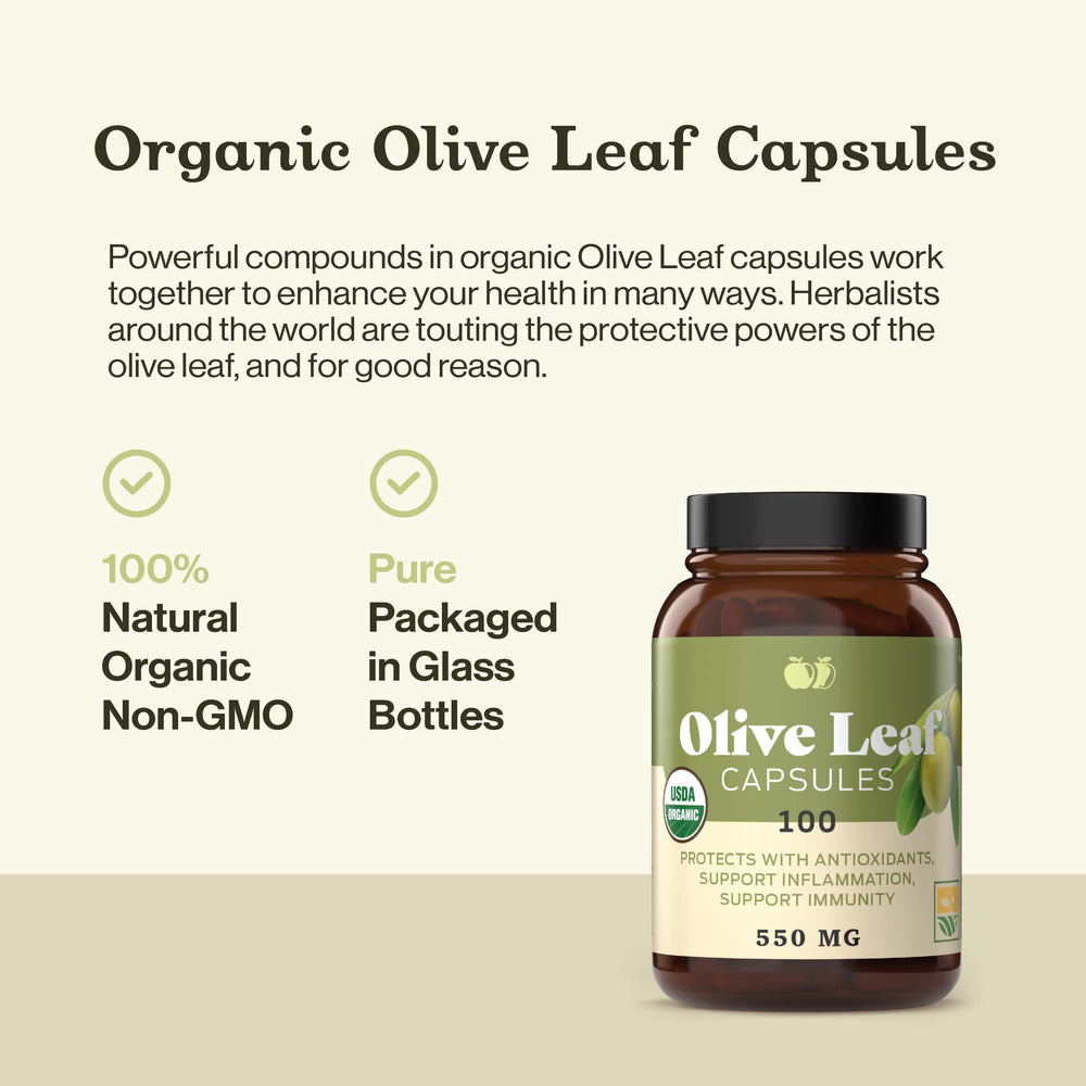 Illustration of organic olive leaves and extract used in capsules