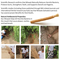 Organic origin of Sewak Al Hijazi Miswak sticks