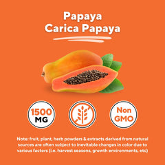 Organic Papaya Leaf Powder jar