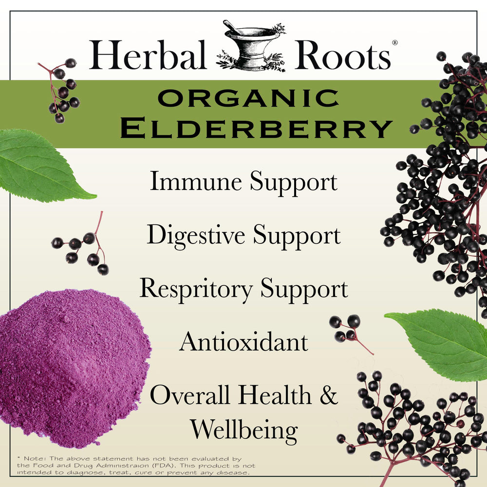 Organic Sambucus elderberry capsules ingredients close-up