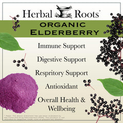 Organic Sambucus elderberry capsules ingredients close-up