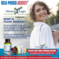 Organic sea moss powder with elderberry and minerals