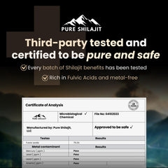 Shilajit resin with minerals and fulvic acid imagery