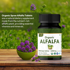 Nutrition facts panel for Organic Spree Alfalfa tablets
