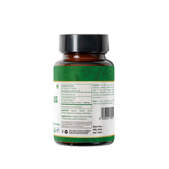 GMP-certified facility manufacturing Organic Spree Barley Grass