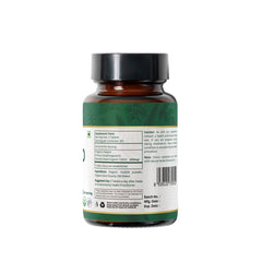 Illustration of Cissus quadrangularis plant (Hadjod)