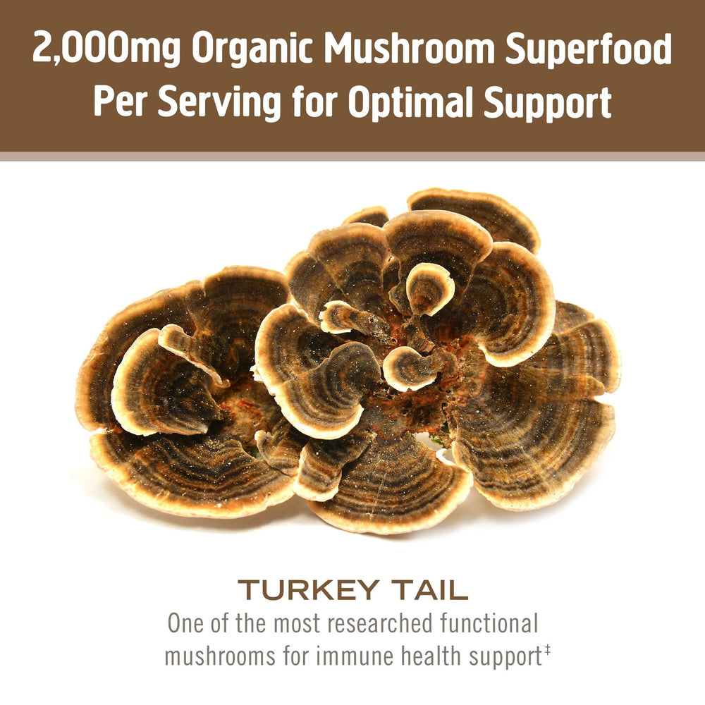 Organic turkey tail mushroom powder ingredients label