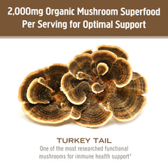Organic turkey tail mushroom powder ingredients label