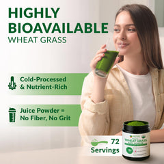 Close-up of organic wheat grass powder for juice