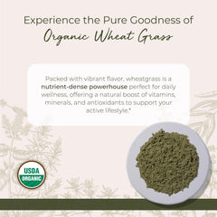 Nutrients in organic wheatgrass powder including vitamins and minerals