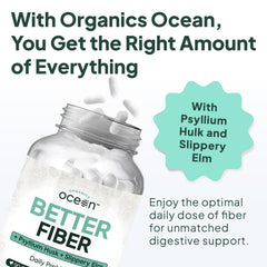 Close-up of psyllium husk ingredient in Organics Ocean Better Fiber