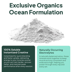 Nutrition label close-up on Krealyte Fusion bottle