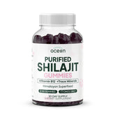 Organics Ocean Shilajit Gummies bottle displaying 60 gummies