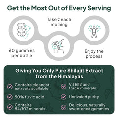 Organics Ocean Shilajit Gummies product packaging and label