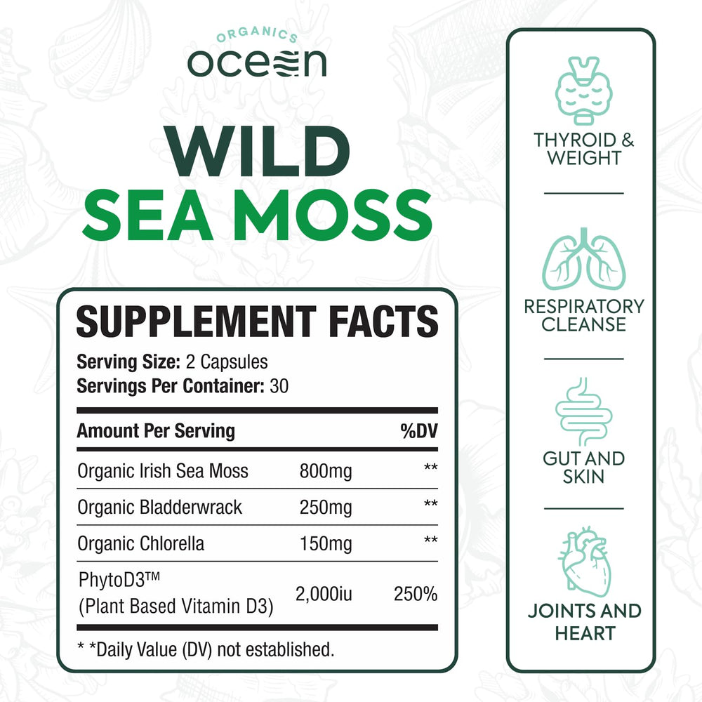 Close-up of bladderwrack, chlorella and sea moss ingredients