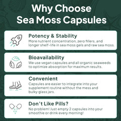 Person taking sea moss capsules for energy and wellness