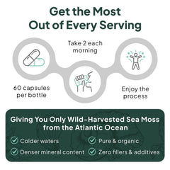 Organics Ocean Sea Moss Capsules packaging and label