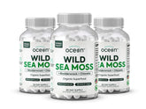 Close up of Organics Ocean Wild Sea Moss Capsules bottle