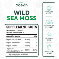 Sea moss capsules with bladderwrack and chlorella ingredients