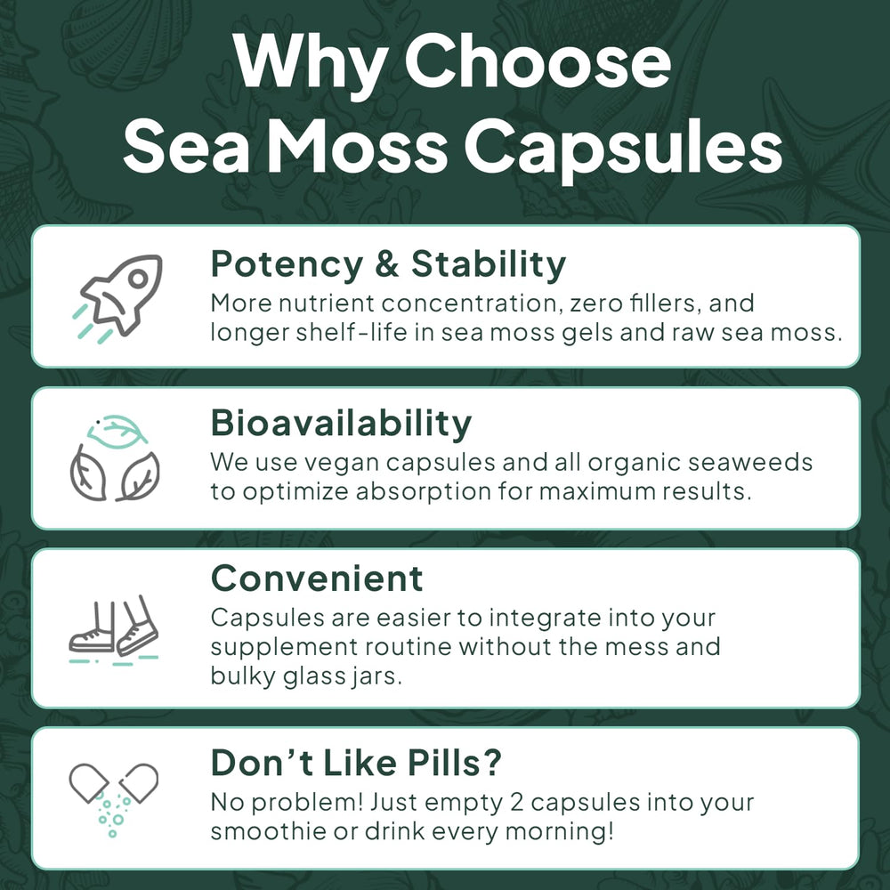 Atlantic Ocean seaweed harvest imagery
