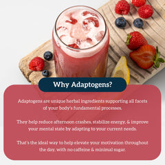 Organifi Red Juice digestive health with prebiotics and lemon