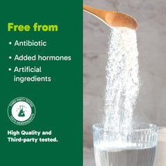 Illustration of grass-fed pasture-raised cattle